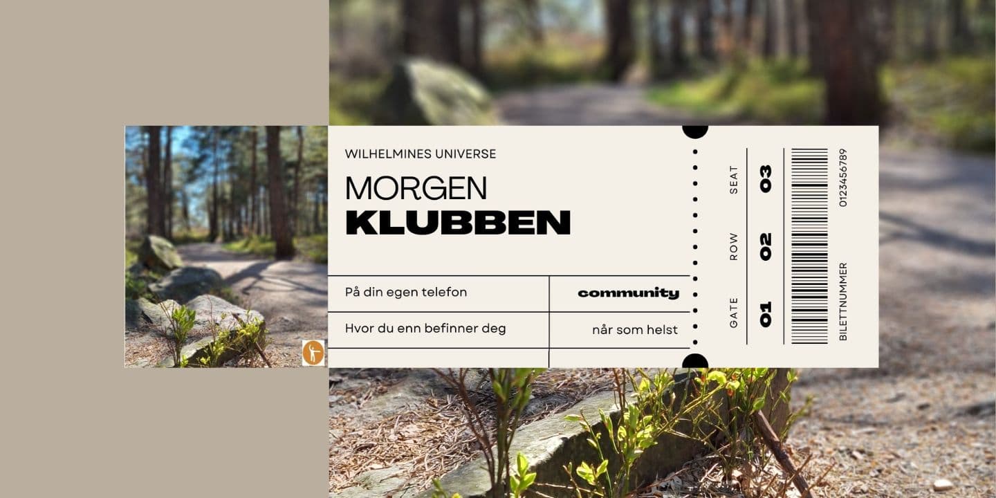 NYE Wilhelmines universe